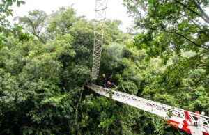 Meio Ambiente instala mais um passador de fauna no Acesso Grasel