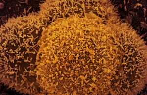 Pessoa que teve contato com primeiro caso da Ômicron testa negativo