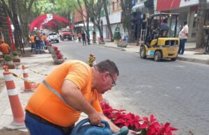 Mutirão da prefeitura planta flores e faz melhorias na Floriano