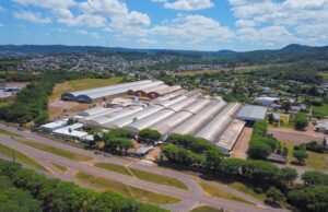 UTC Brasil inicia processamento da primeira safra em Santa Cruz