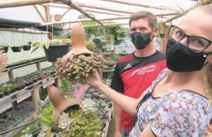 Cultivo de flores: família investe em um paraíso de cuidado e amor