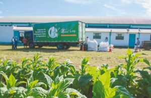 Safra do Tabaco: Ações contribuem com o controle da poluição por agrotóxicos