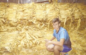 Safra do Tabaco: família do interior de Vera Cruz está otimista