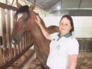 Cavalos crioulos são atração no último dia de feira