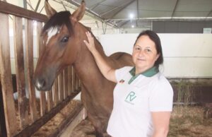 Cavalos crioulos são atração no último dia de feira