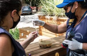 Mapa divulgado pela Saúde contabiliza mais de mil focos de Aedes no município