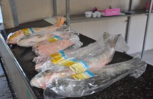 Feira do Peixe deve apresentar maior movimento nesta quinta