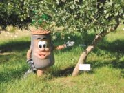Planeta sustentável é o tema na retomada do programa