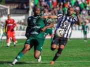 Gaúcho A2: Ave-Cruz – parte 2 é nos Eucaliptos neste domingo
