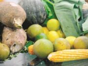 SEU BOLSO | Governo avalia reduzir tarifa de importação para baratear alimentos