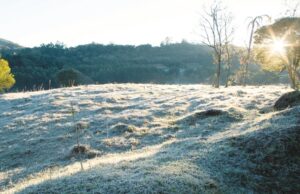 Inverno começa com grande alternância nas temperaturas