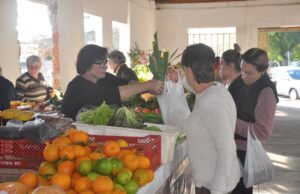 Feira Central de Santa Cruz muda de local devido à revitalização
