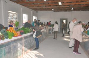 Feira Central de Santa Cruz muda de local temporariamente