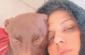 Cães e gatos: todo cuidado nos dias de frios para evitar doenças