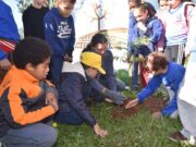 Semana do Meio Ambiente: Semass promove plantio de árvores em escola