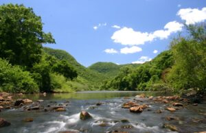 Dia Mundial do Meio Ambiente: a importância de preservar o nosso lar
