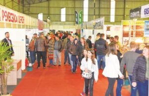Exposições aquecem a economia em quatro dias