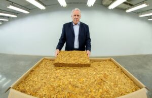 Tabaco brasileiro é aprovado em pré-inspeção chinesa