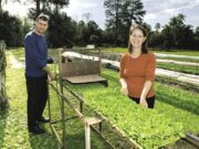 Motorista e agricultora: o casamento que deu certo