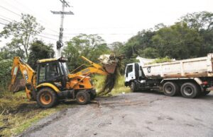 Meio Ambiente: equipes fazem mutirão de limpeza e podas de árvores
