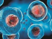 Medicina regenerativa e células-tronco serão temas de conferência