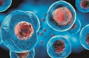 Medicina regenerativa e células-tronco serão temas de conferência