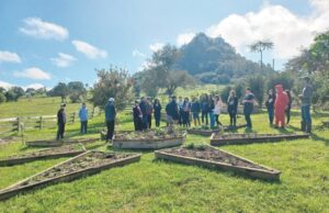 Projeto procura estreitar a relação entre o campo e a sustentabilidade