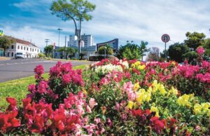 Temperaturas mais baixas que o normal