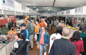 Oktoberfest: Delícias do interior agradam em cheio