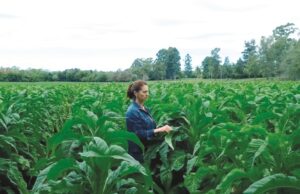 “O agricultor precisa ser mais valorizado”