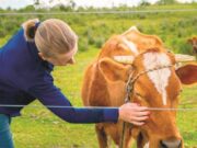 Dia Internacional da Mulher Rural