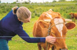 Dia Internacional da Mulher Rural