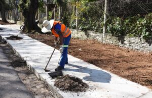 Prefeitura inicia o plantio de árvores com flor símbolo do município no Parque da Oktober