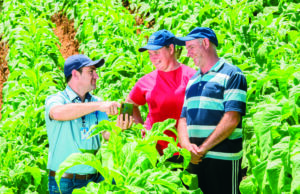 Trabalho e dedicação que geram prosperidade