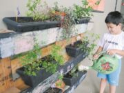 Experiências que potencializam é um dos lemas da escola
