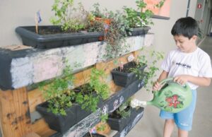 Experiências que potencializam é um dos lemas da escola