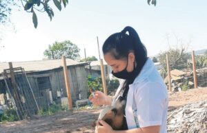 Cães são resgatados e recebem cuidados necessários
