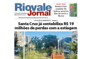 Edição 31/01/2023