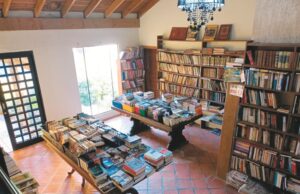 Sebo Livro Vital traz as melhores dicas para leitura
