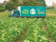 Coleta inicia 2023 em três regiões produtoras de tabaco