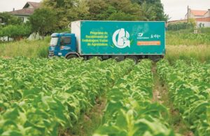 Coleta inicia 2023 em três regiões produtoras de tabaco