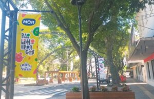 Folia | Tudo passa pela Floriano, inclusive o Carnaval