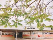 Com a temática A natureza que nos cerca, Educar-se retorna às aulas no dia 27