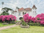 Instituto de idiomas Schütz e Kanomata: educação internacional bilingue há mais de 30 anos