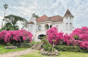 Instituto de idiomas Schütz e Kanomata: educação internacional bilingue há mais de 30 anos