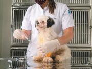 Cuidados | Hospital Veterinário da Unisc encerra 2022 com 3,9 mil atendimentos