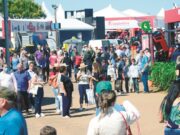 Conectados | Evento realizado pela Afubra vai comercializar vouchers de Wi-Fi