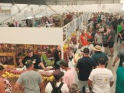 Agroindústrias premiadas são destaques na Expoagro