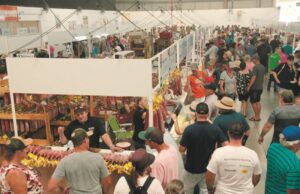 Agroindústrias premiadas são destaques na Expoagro