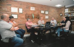 Meio urbano | Reunião entre Prefeitura e RGE otimiza ação para manutenção de árvores